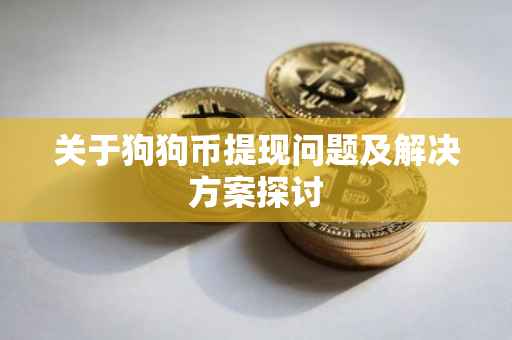 关于狗狗币提现问题及解决方案探讨