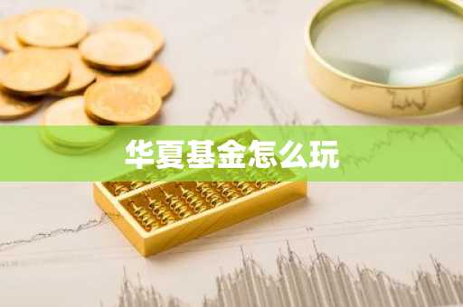 华夏基金怎么玩
