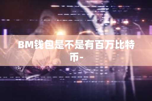 BM钱包是不是有百万比特币-