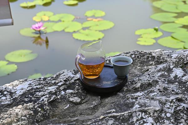 茶养，重塑现代人的身心归宿——从古老智慧到未来健康生活的解决方案