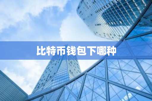 比特币钱包下哪种