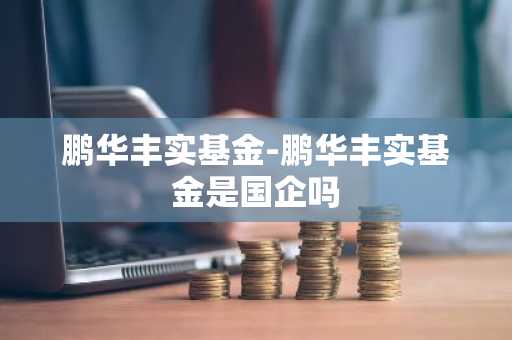 鹏华丰实基金-鹏华丰实基金是国企吗