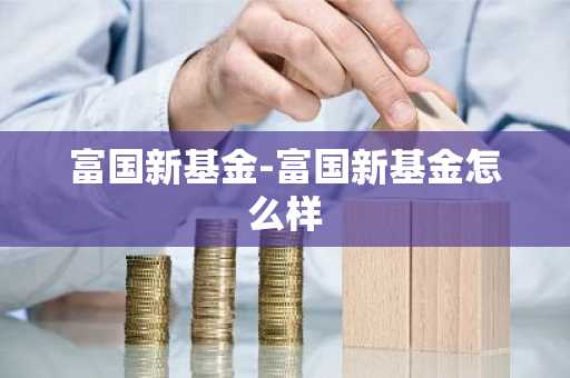 富国新基金-富国新基金怎么样