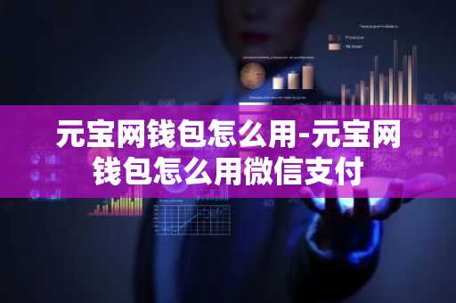 元宝网钱包怎么用-元宝网钱包怎么用微信支付