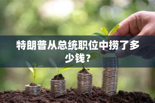 特朗普从总统职位中捞了多少钱？