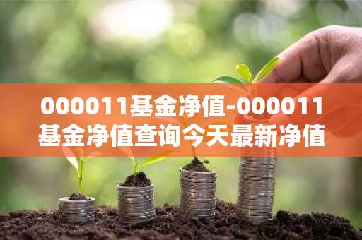000011基金净值-000011基金净值查询今天最新净值