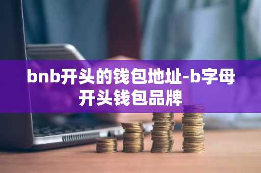 bnb开头的钱包地址-b字母开头钱包品牌