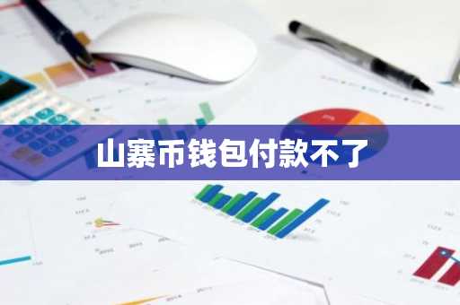 山寨币钱包付款不了