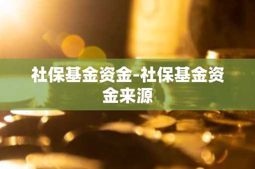 社保基金资金-社保基金资金来源