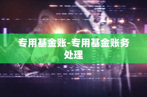 专用基金账-专用基金账务处理