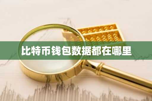 比特币钱包数据都在哪里