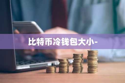 比特币冷钱包大小-