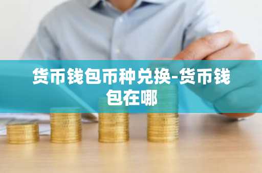 货币钱包币种兑换-货币钱包在哪