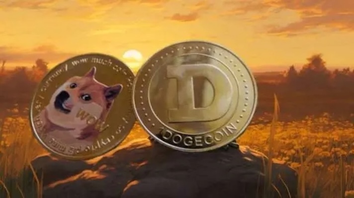 狗狗币和柴犬币哪个更有前景？有何不同？深入分析投资价值对比