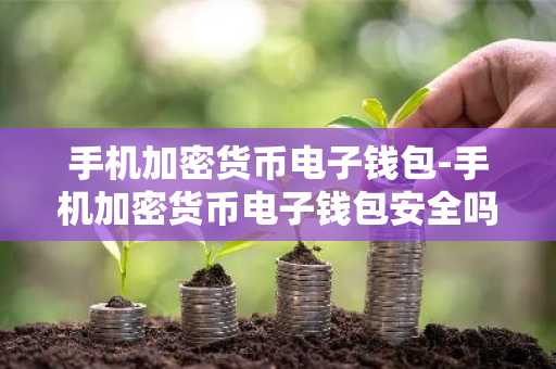手机加密货币电子钱包-手机加密货币电子钱包安全吗