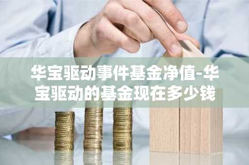 华宝驱动事件基金净值-华宝驱动的基金现在多少钱