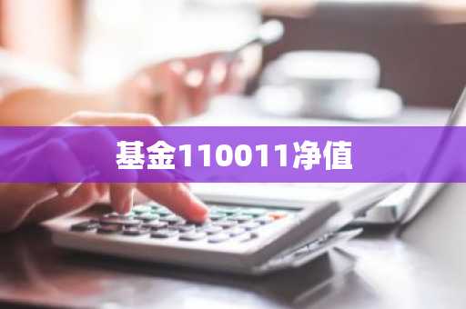 基金110011净值