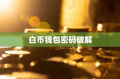 白币钱包密码破解