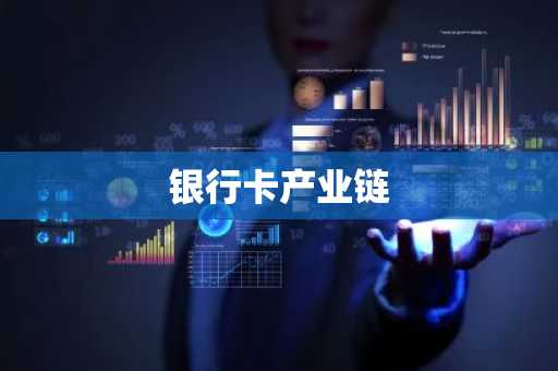 银行卡产业链