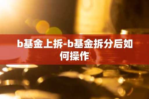 b基金上拆-b基金拆分后如何操作