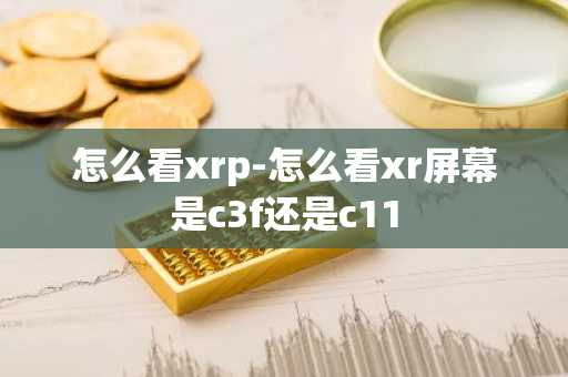 怎么看xrp-怎么看xr屏幕是c3f还是c11