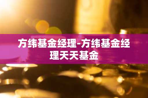 方纬基金经理-方纬基金经理天天基金