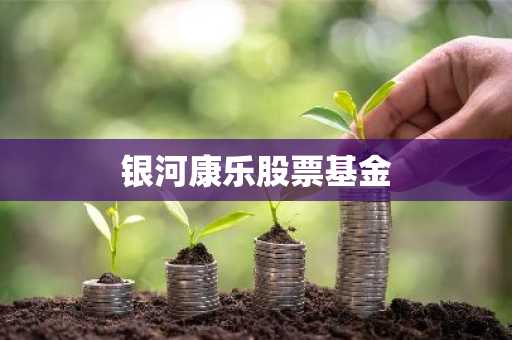 银河康乐股票基金
