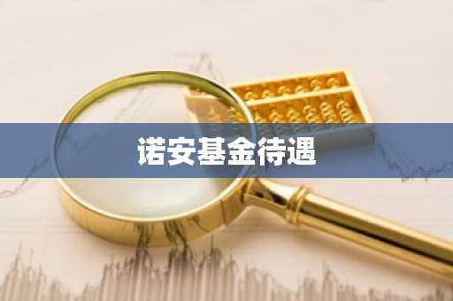 诺安基金待遇