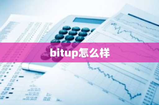 bitup怎么样