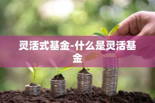 灵活式基金-什么是灵活基金