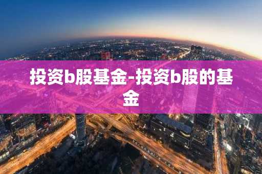 投资b股基金-投资b股的基金