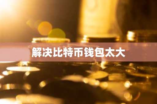 解决比特币钱包太大