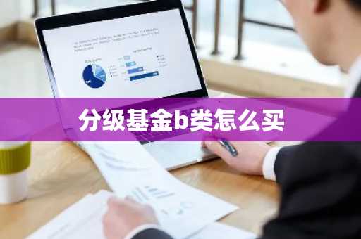 分级基金b类怎么买