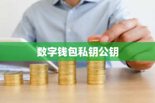 数字钱包私钥公钥