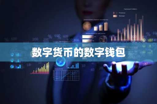 数字货币的数字钱包