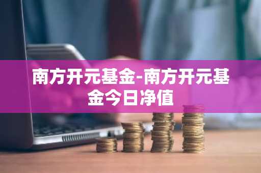 南方开元基金-南方开元基金今日净值