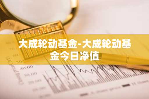 大成轮动基金-大成轮动基金今日净值