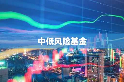 中低风险基金