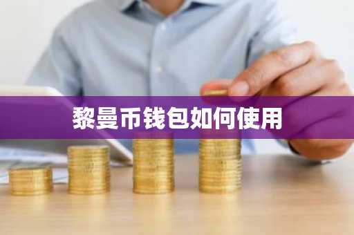 黎曼币钱包如何使用
