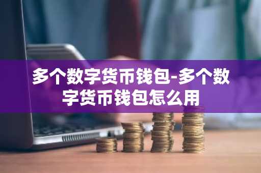 多个数字货币钱包-多个数字货币钱包怎么用