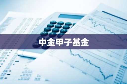 中金甲子基金