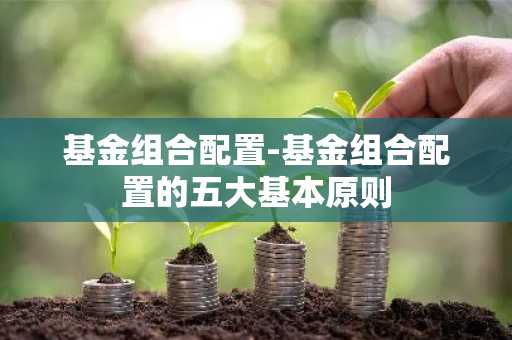 基金组合配置-基金组合配置的五大基本原则