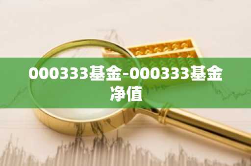 000333基金-000333基金净值
