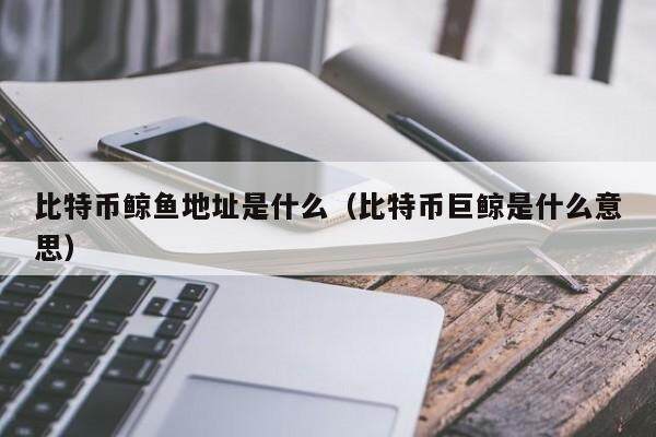 比特币鲸鱼地址是什么（比特币巨鲸是什么意思）