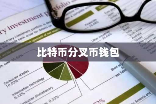 比特币分叉币钱包