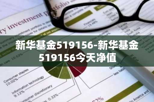 新华基金519156-新华基金519156今天净值
