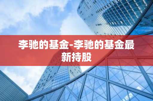 李驰的基金-李驰的基金最新持股