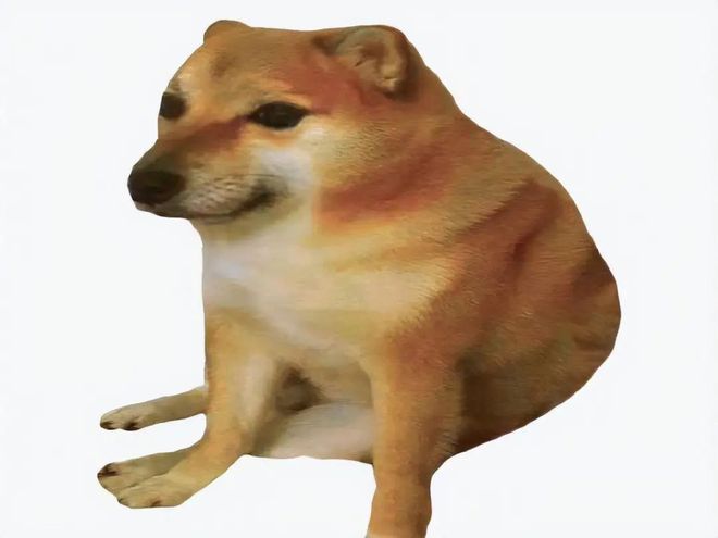 什么是ELON DOGE​？​ELON DOGE​​是不是马斯克新的新模因币