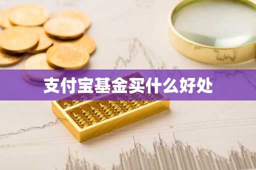 支付宝基金买什么好处