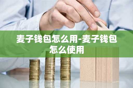 麦子钱包怎么用-麦子钱包怎么使用